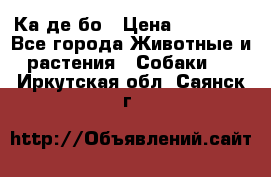 Ка де бо › Цена ­ 25 000 - Все города Животные и растения » Собаки   . Иркутская обл.,Саянск г.